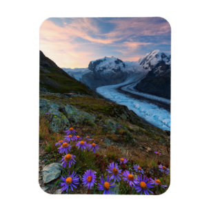 Magnet Flexible Glacier   Suisse de Monte Rosa