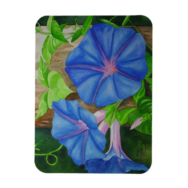 Magnet Flexible Gloire du matin (Vertical)