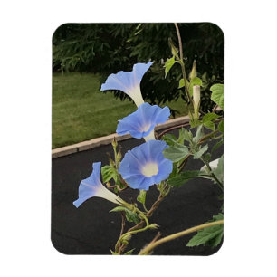 Magnet Flexible Glorieuse Cascade Bleue