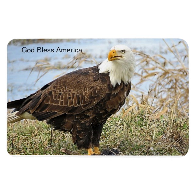 Magnet Flexible "God Bless America" Bientôt Eagle on flex 4 (Horizontal)
