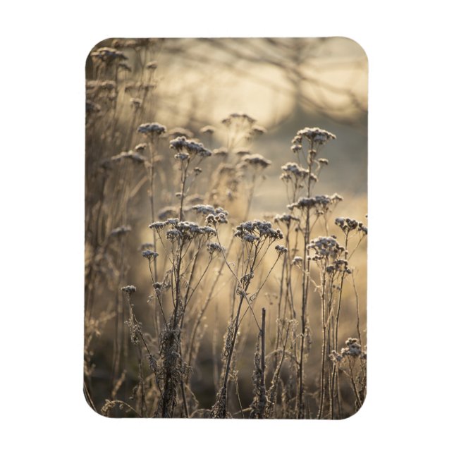 Magnet Flexible Golden Frosty Matin Flamand Campagne (Vertical)