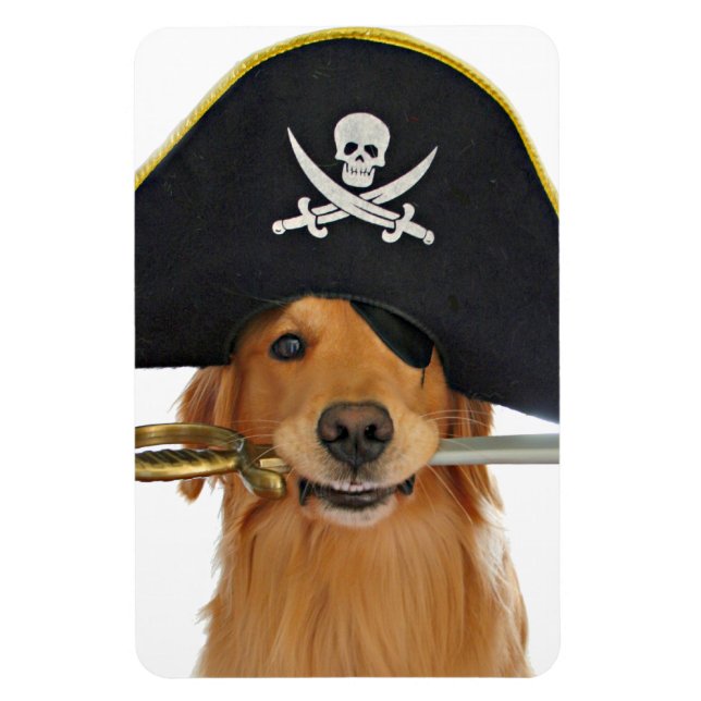 Magnet Flexible Golden Retriever Halloween Pirate (Vertical)
