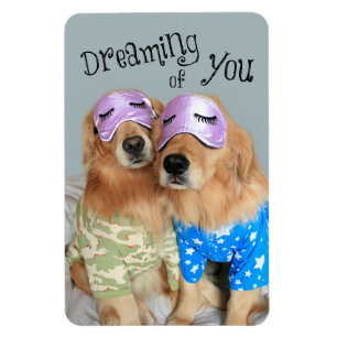 Magnet Flexible Golden retriever rêvant de vous