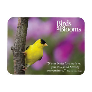 Magnet Flexible Goldfinch