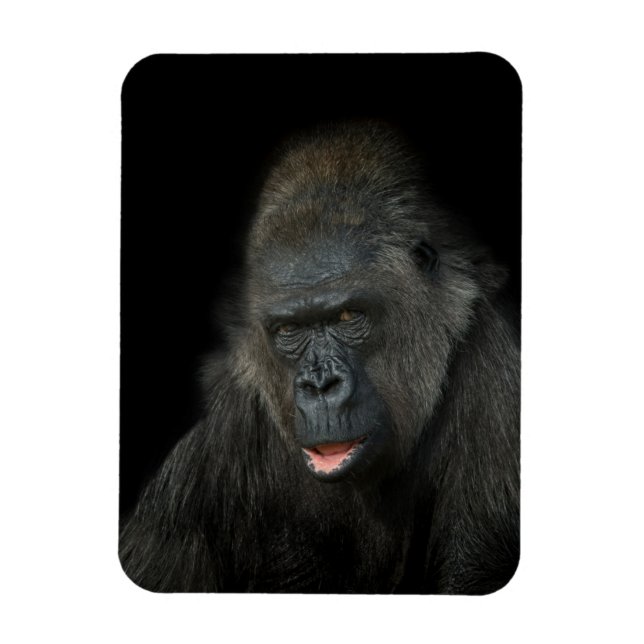 Magnet Flexible Gorilla Biddy (Vertical)