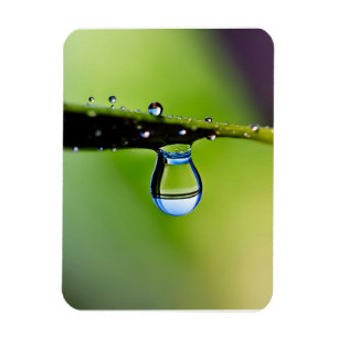 Magnet Flexible Gouttes d'eau de macro