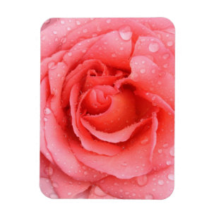 Magnet Flexible Gouttes d'eau de rose rose rouge romantique