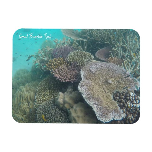 Magnet Flexible grand aimant barrière corail (Horizontal)