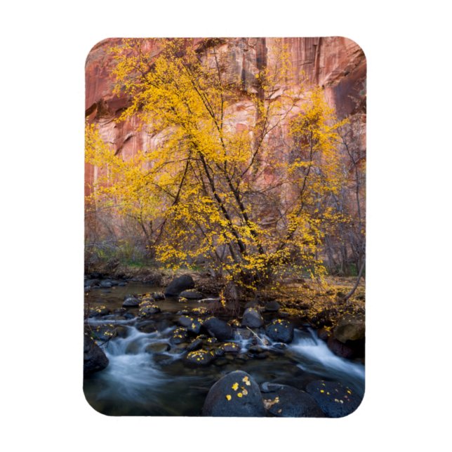 Magnet Flexible Grand Escalier-Escalante Monument National (Vertical)