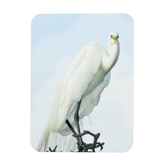 Magnet Flexible Grand portrait de héron blanc (Vertical)