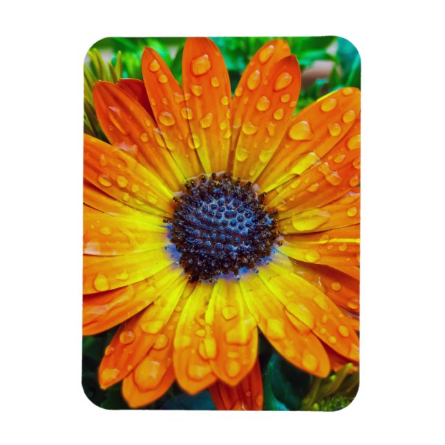 Magnet Flexible Grande Fleur d'or près (Vertical)