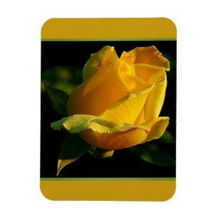 Magnet Flexible Grande Rose Jaune