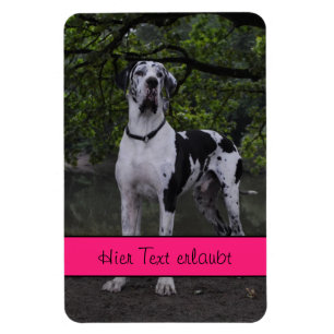 Magnet Flexible Grands Danois