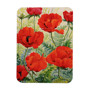 Magnet Flexible Grands pavots rouges
