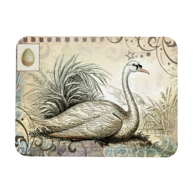Magnet Flexible Graphique cygne (Horizontal)