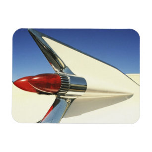 Magnet Flexible Graphique : Gros plan de la nageoire et du feu arr