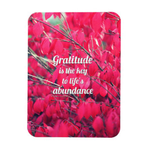 Magnet Flexible Gratitude