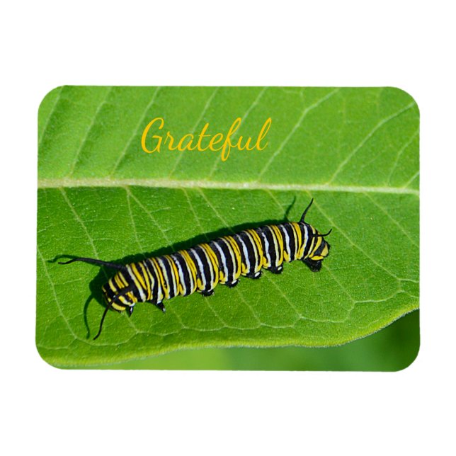 Magnet Flexible Gratitude de l'amour de la nature (Horizontal)