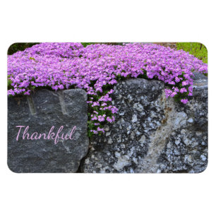Magnet Flexible Gratitude des jardins de rock