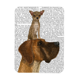 Magnet Flexible Great Dane et Chihuahua