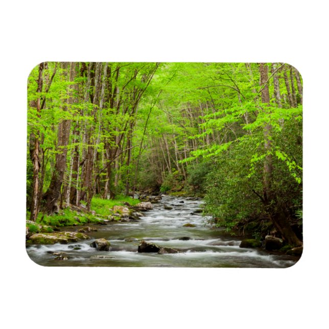 Magnet Flexible Great Smoky Mountains National Park Caroline du No (Horizontal)