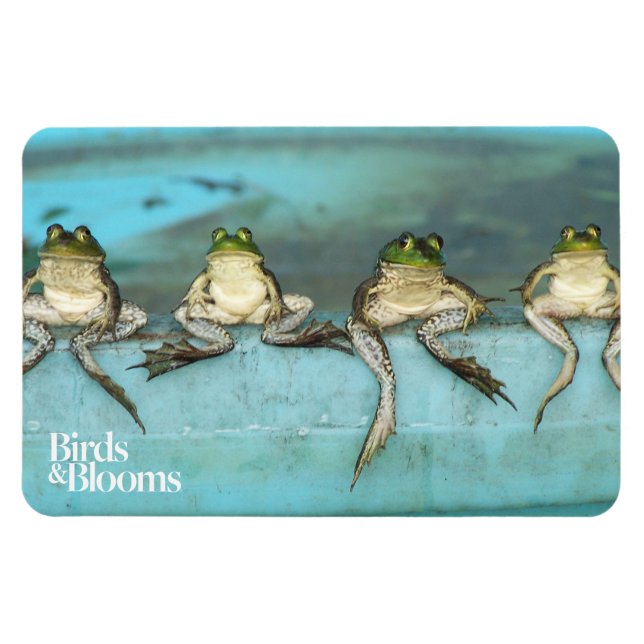 Magnet Flexible Grenouilles assis (Horizontal)