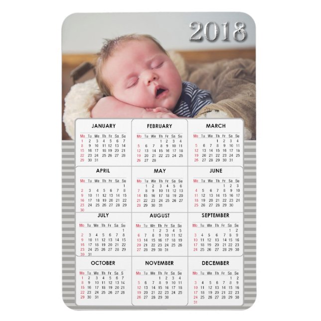 Magnet Flexible Gris bébé photo 2018 Calendrier Refrigerator Magne (Vertical)