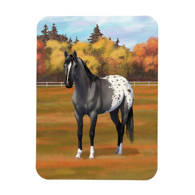 Magnet Flexible Gris Grulla Appaloosa Quartier Horse Stallion (Vertical)
