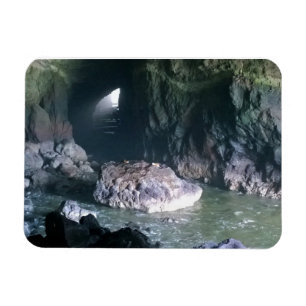 Magnet Flexible Grotte de lion de mer, OU