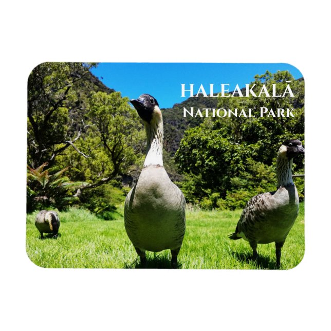 Magnet Flexible Groupe de Nēnê, Parc national Haleakalā, Maui, HI (Horizontal)