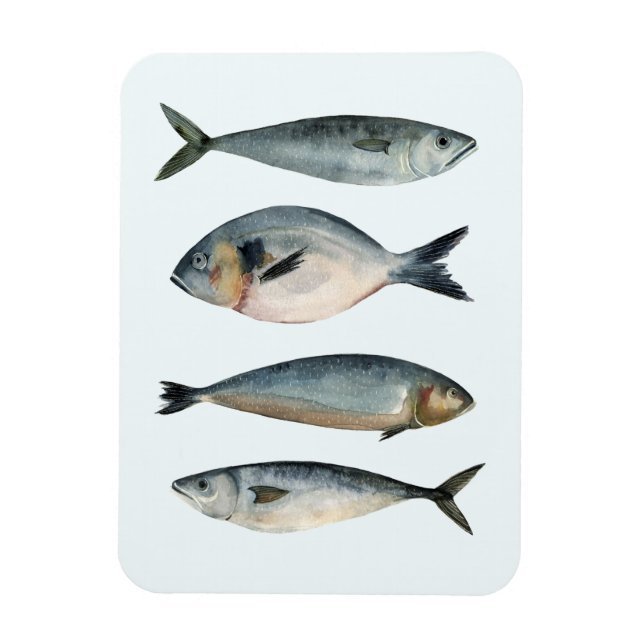 Magnet Flexible Groupe des quatre poissons (Vertical)