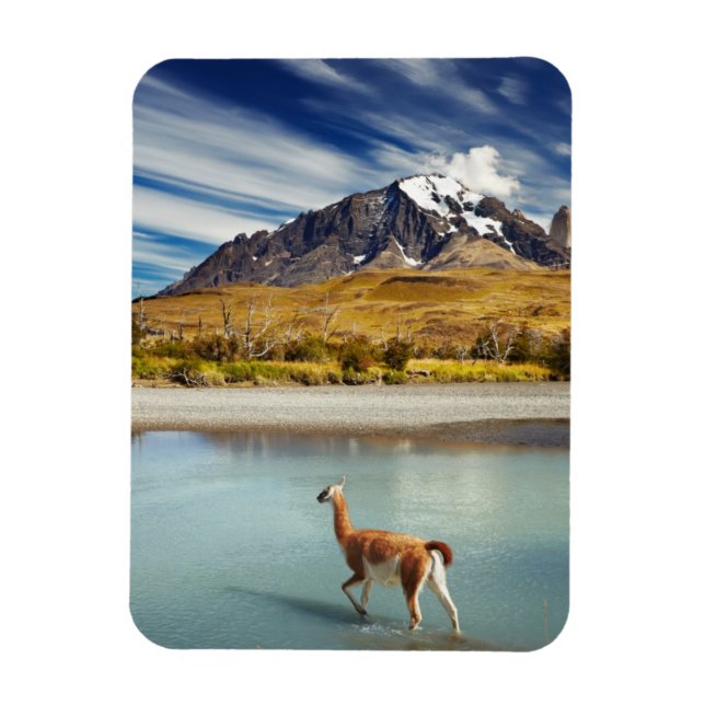 Magnet Flexible Guanaco traversant la rivière à Torres del Paine (Vertical)