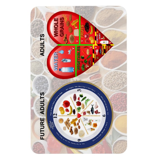 Magnet Flexible Guide nutritionnel (Vertical)