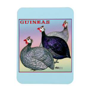 Magnet Flexible Guineas Trois Fowl