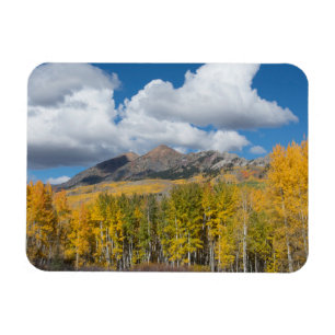 Magnet Flexible Gunnison National Forest, Colorado