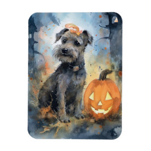 Magnet Flexible Halloween Chesapeake Bay Terrier Avec Citrouilles
