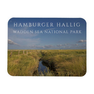 Magnet Flexible Hamburger Hallig, Mer des Wadden, Allemagne