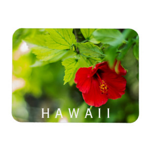 Magnet Flexible Hanalei Rouge Hibiscus Fleur tropicale