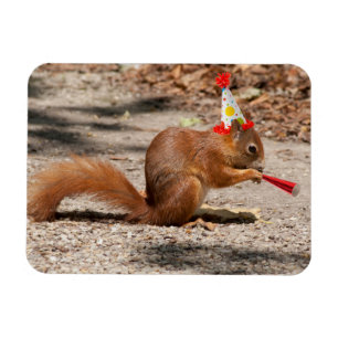 Magnet Flexible Happy Birthday Squirrel