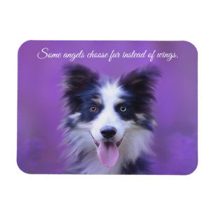 Magnet Flexible Happy Border Collie Chien, Ange avec aimant de fou