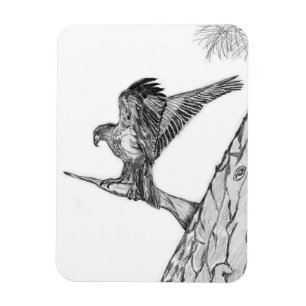 MAGNET FLEXIBLE HARRIET M ACCUEIL HISTOIRE DES BRANCHES E9 FAMILY 