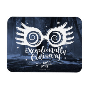 Magnet Flexible Harry Potter Exceptionnellement ordinaire