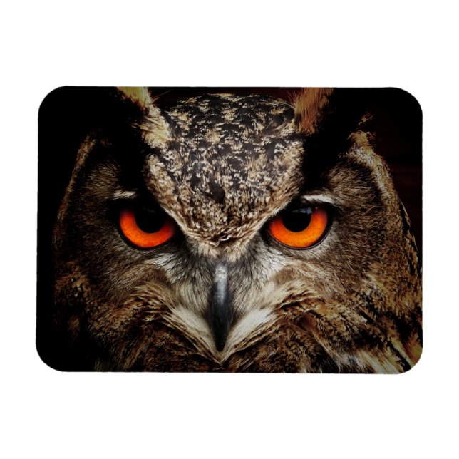 Magnet Flexible Hauteur de la chouette avec yeux orange (Horizontal)