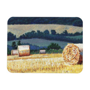Magnet Flexible Haybales sur l'huile de flanc de coteau sur la