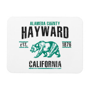 Magnet Flexible Hayward
