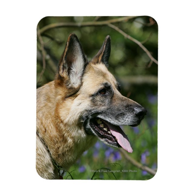 Magnet Flexible Headshot 3 du berger allemand (Vertical)