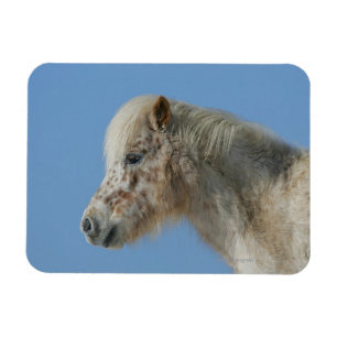Magnet Flexible Headshot miniature de cheval