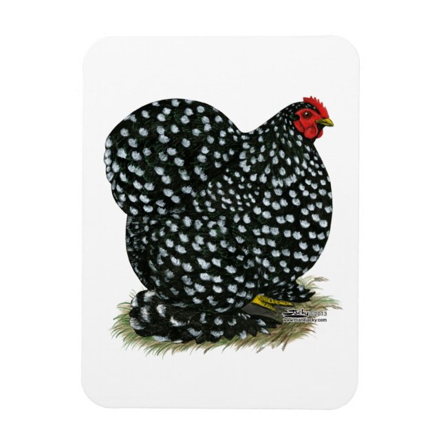 Magnet Flexible Hen Cochin Bouché (Vertical)