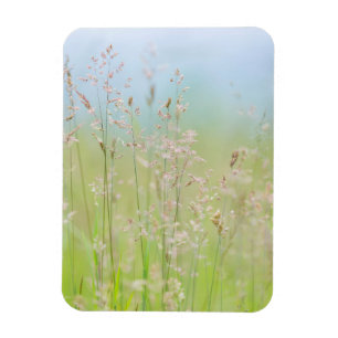 Magnet Flexible Herbes en mouvement