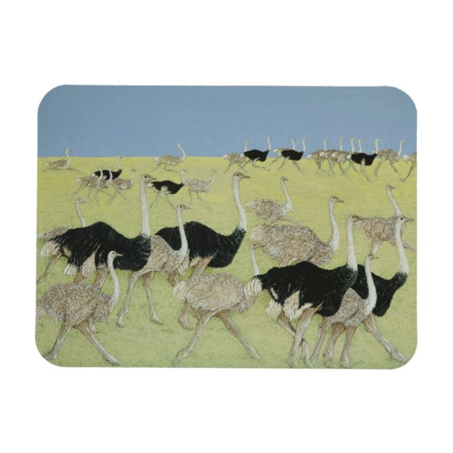 Magnet Flexible Heure de pointe 2 (Horizontal)